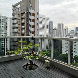 The Peak @ Cairnhill I (D9), Apartment #454524261